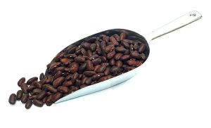 שעועית אדומה 